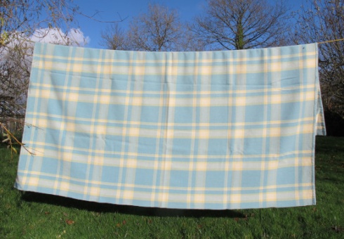 blue_yellow_and_cream_plaid_res_2