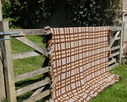 brown_6