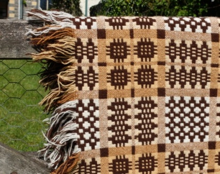 brown_8